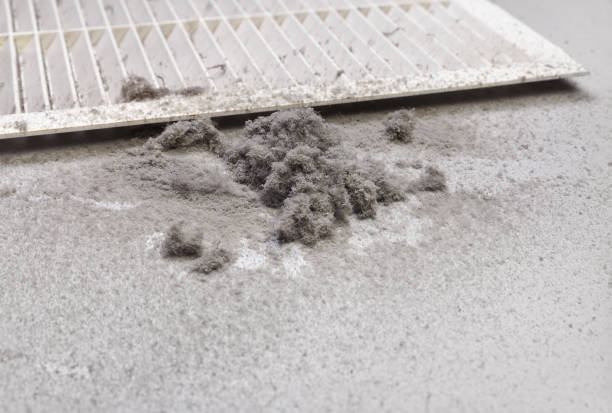 Best Air Vent Cleaning Services  in Schofield Barracks, HI
