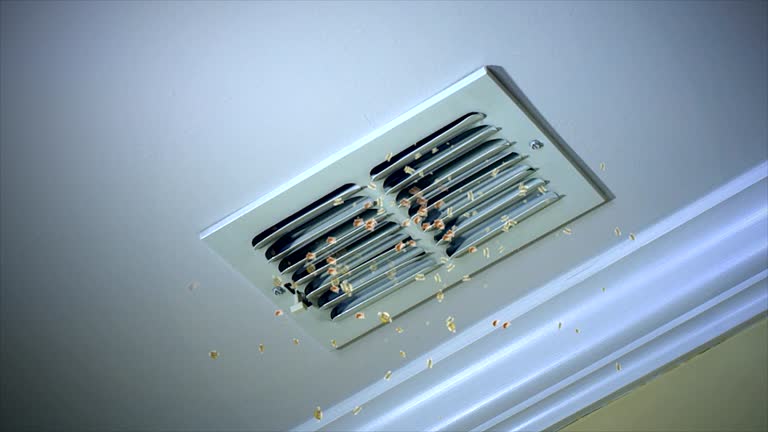 Best HVAC Duct Inspection Services  in Schofield Barracks, HI
