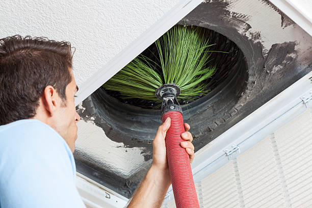 Best Local Air Duct Cleaning Services  in Schofield Barracks, HI